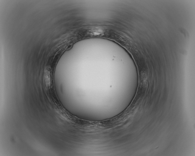 X0000115271442200911131757