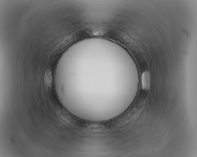 X0000115271443200911131757