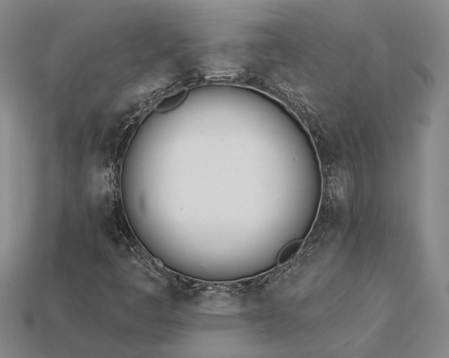 X0000115271445200911131757