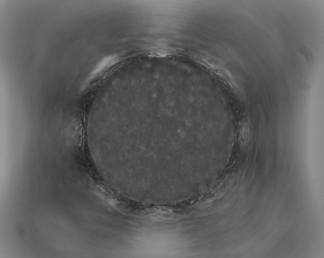 X0000115271446200911131757