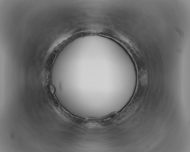 X0000115271448200911131757