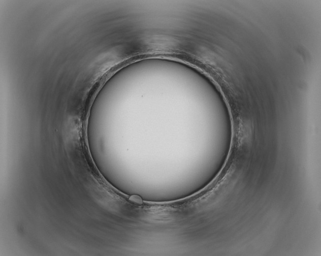 X0000115271449200911131757