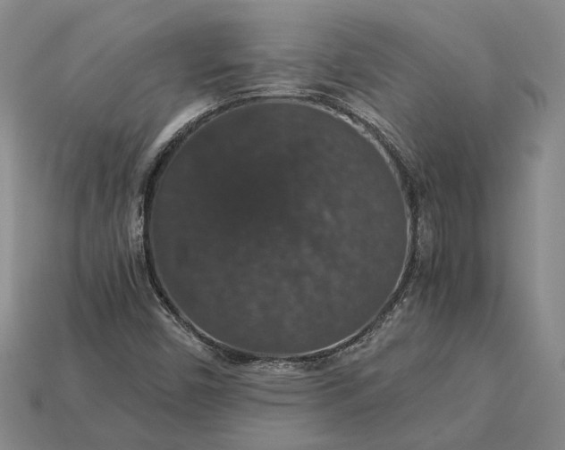 X0000115271450200911131757