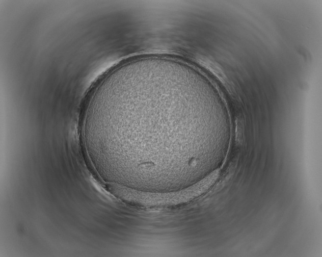 X0000115271452200911131757