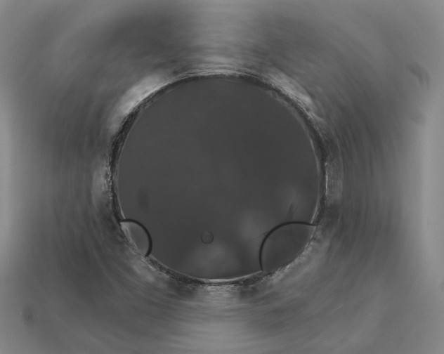 X0000115271453200911131757