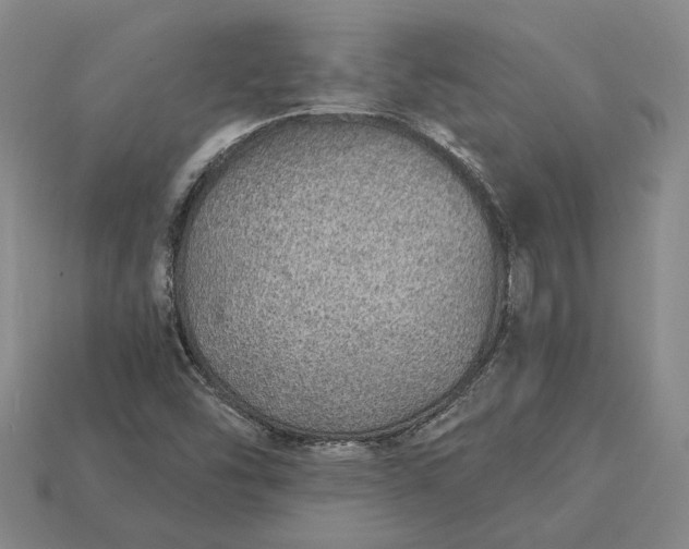 X0000115271454200911131757