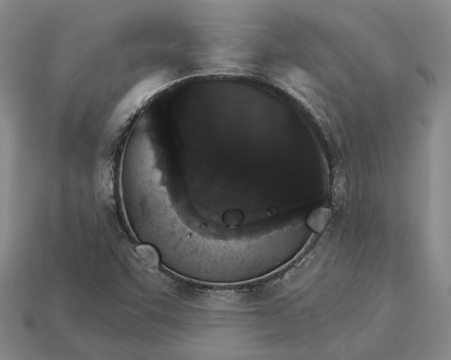 X0000115271455200911131757