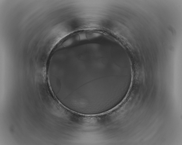 X0000115271457200911131757