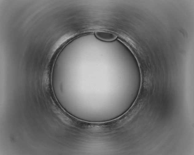 X0000115271458200911131757