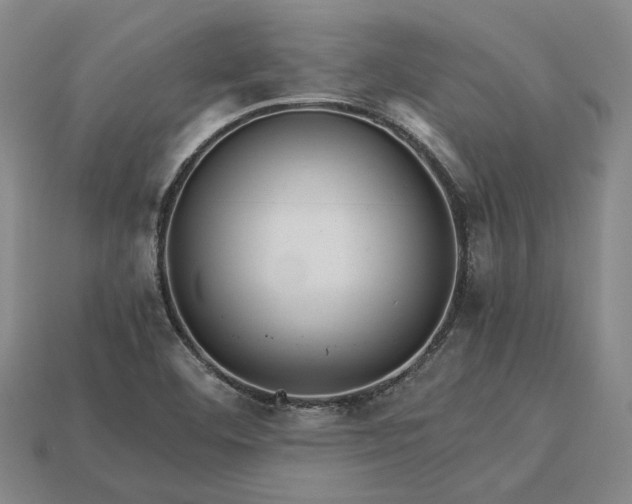 X0000115271460200911131757