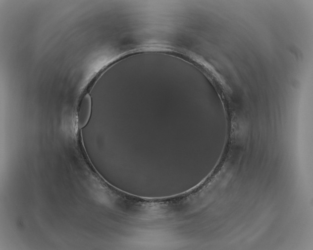 X0000115271461200911131757