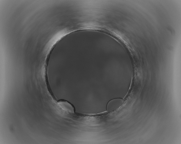 X0000115271463200911131757