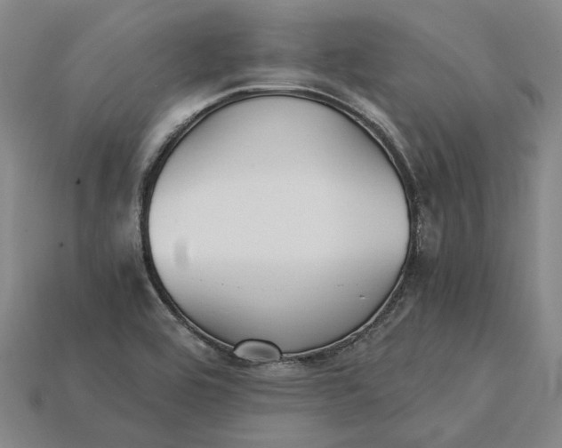 X0000115271464200911131757