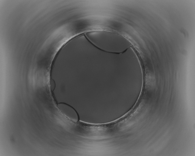 X0000115271465200911131757