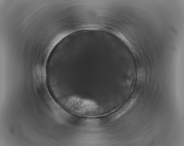 X0000115271466200911131757