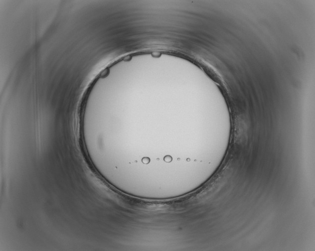 X0000115271467200911131757