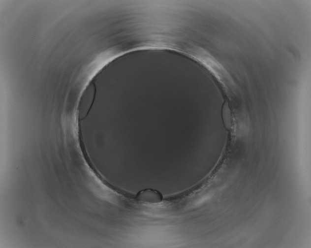 X0000115271468200911131757