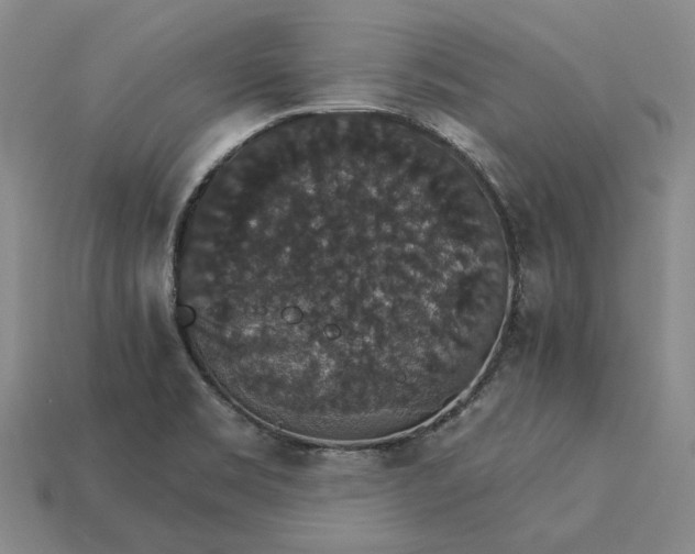 X0000115271469200911131757