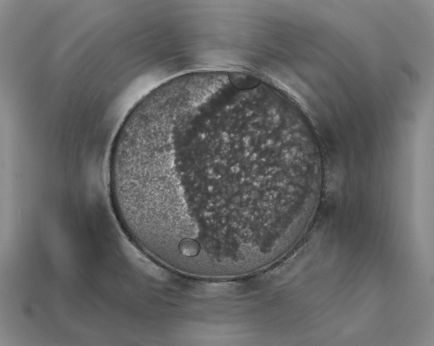 X0000115271471200911131757