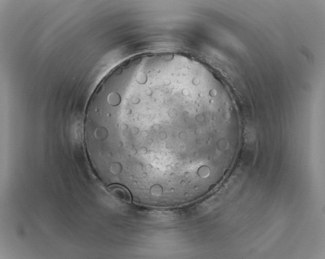X0000115271473200911131757