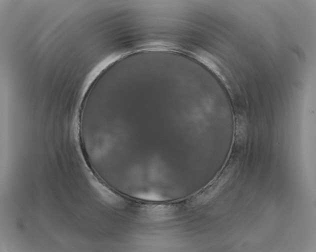X0000115271474200911131757