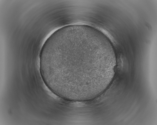 X0000115271476200911131757