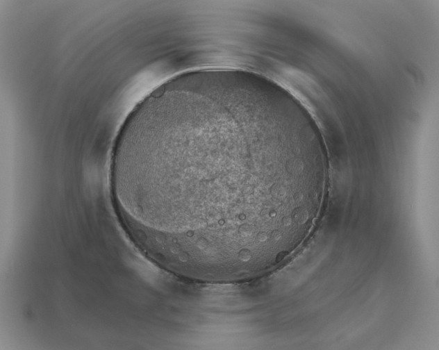 X0000115271477200911131757