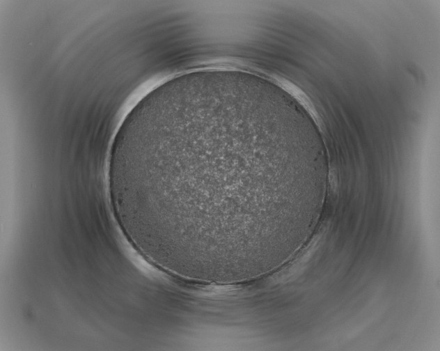 X0000115271482200911131757