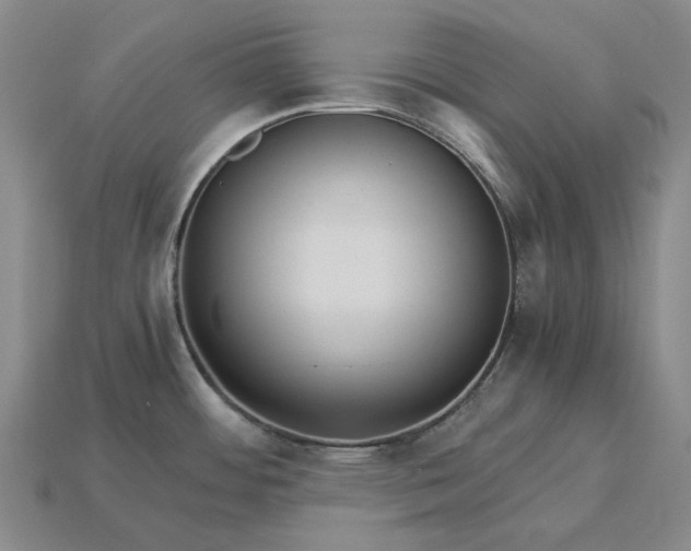 X0000115271484200911131757