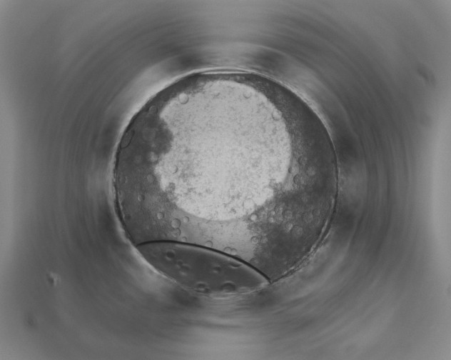 X0000115271485200911131757