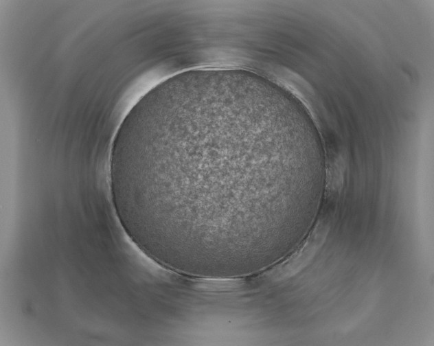 X0000115271487200911131757