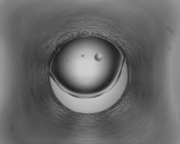 X0000115271491200911131756