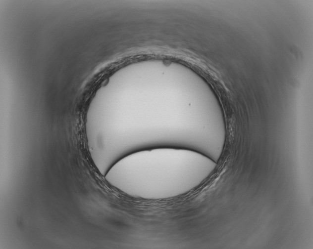 X0000115271494200911131756