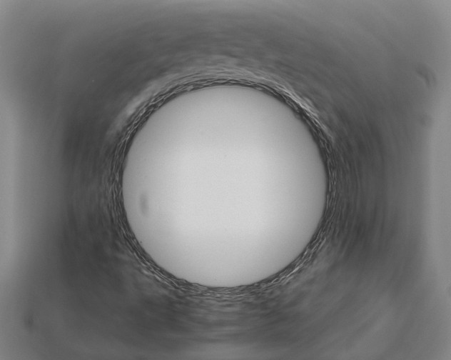 X0000115271495200911131756