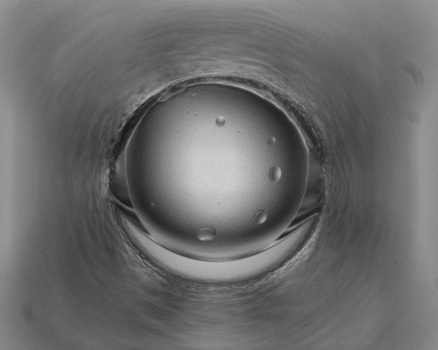 X0000115271497200911131756