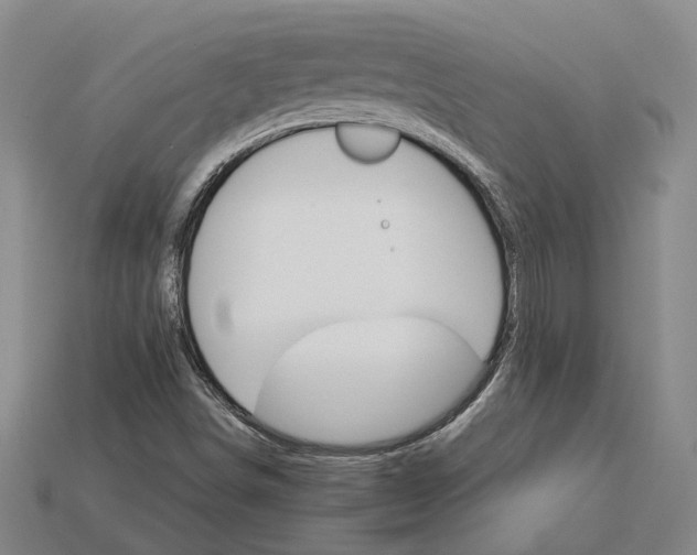 X0000115271498200911131756