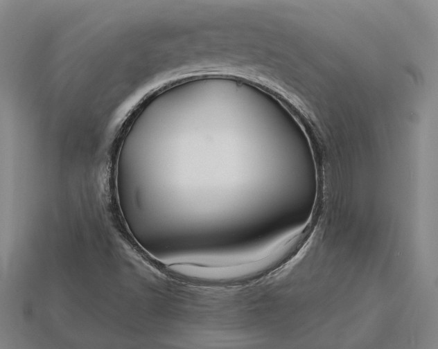 X0000115271502200911131756