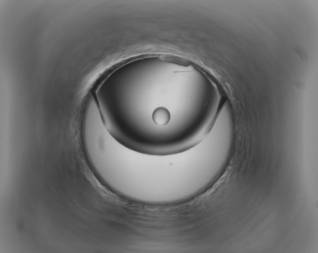 X0000115271503200911131756