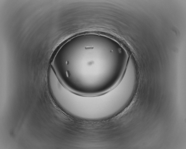 X0000115271505200911131756