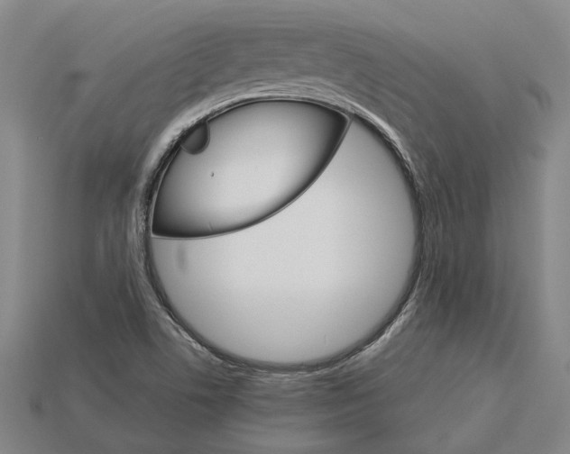 X0000115271506200911131756