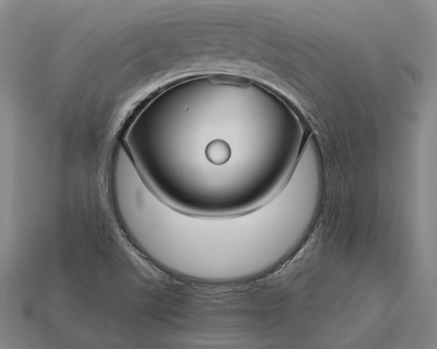 X0000115271507200911131756