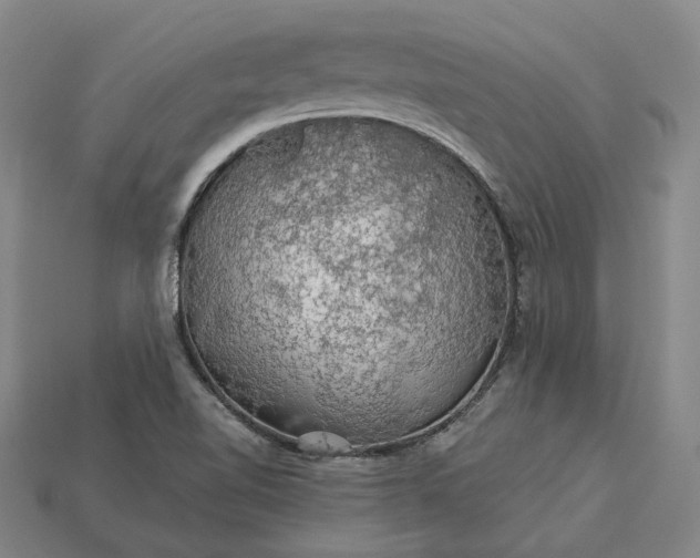 X0000115271510200911131756