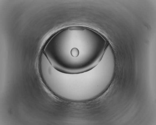 X0000115271511200911131757