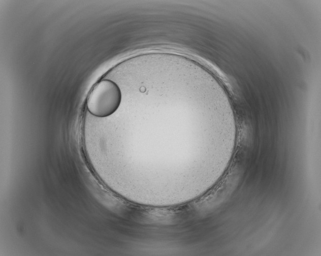 X0000115271514200911131757