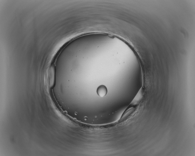 X0000115271515200911131757