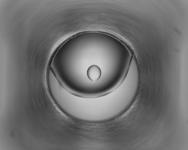 X0000115271517200911131757