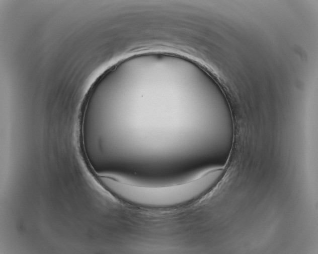 X0000115271518200911131757