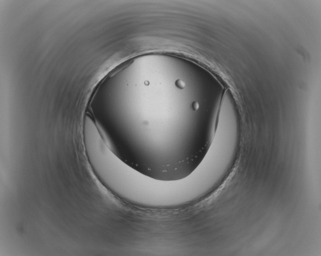 X0000115271521200911131757