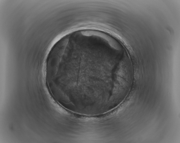 X0000115271522200911131757