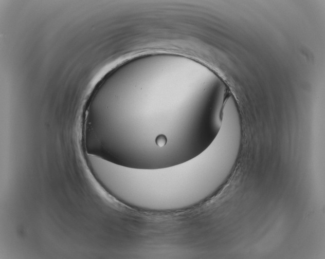 X0000115271523200911131757